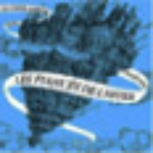 les frères jumeaux que rencontre alice au pays des merveilles
